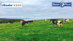 安莱俪依”新鲜”活力备受90后消费者青